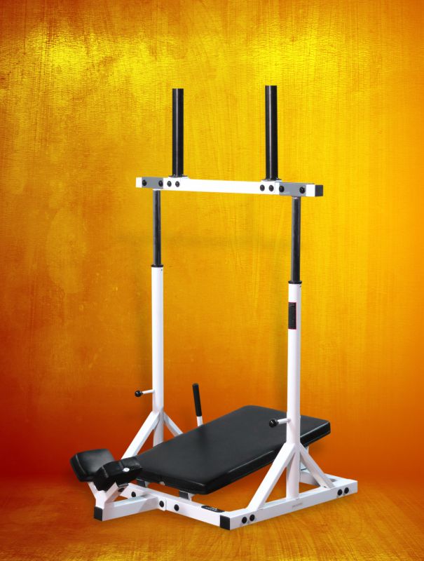 Vertical Leg Press – YukonFitness