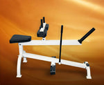 Seated Calf Machine