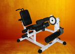 Leg and Core Machine