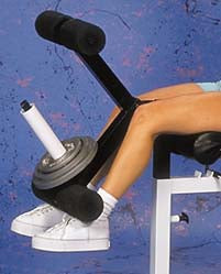 Flat/Incline/Decline Bench Leg Extension