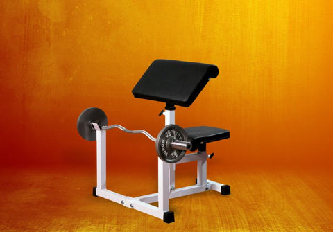 Preacher Curl Bench